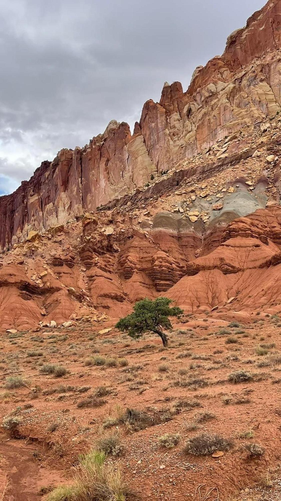 Bryce'S Zion House By Bryce Canyon National Park! Villa Panguitch Esterno foto